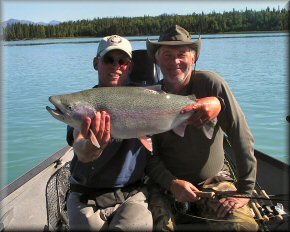 This Kenai Rainbow knows how to eat!