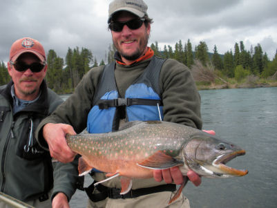 Kenai River Dolly Varden