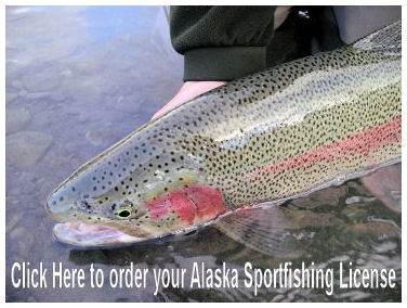  To catch this rainbow, you need a license. Save your time for fly fishing and order your Alaska Sportfishing License before you go. 