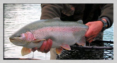 Reserve your Alaska Fly Fishing Guide.