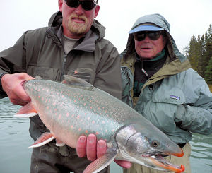 Late September Kenai River Dollies are fat and strong.