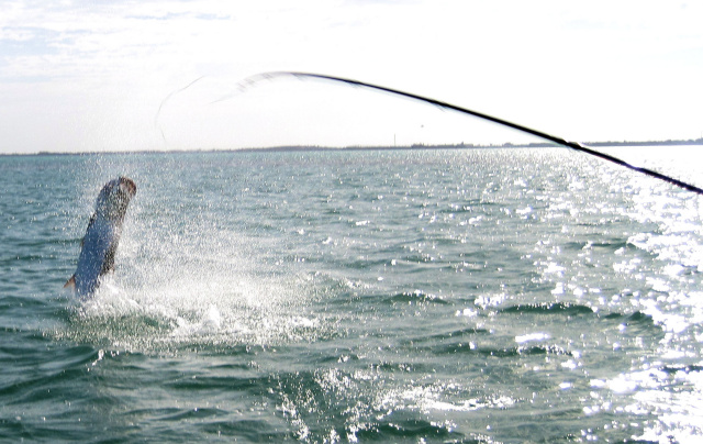 Florida Keys Tarpon Launch