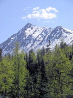 Cooper Landing Alaska, Mt. Cecil Rhode