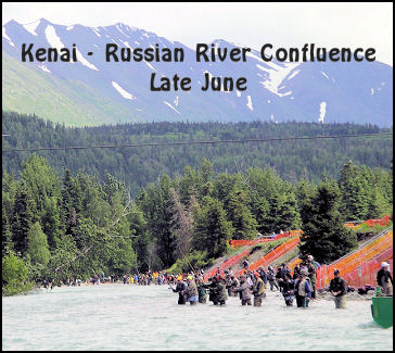 Kenai Russian River Confluence Sockeye (Red) Salmon Fishing