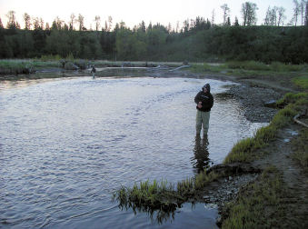 Anchor River Alaska King Salmon Fly Fishing