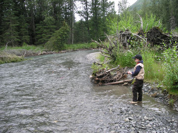Quartz Creek Alaska is great for young anglers.