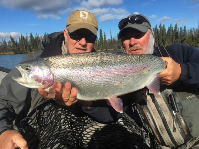 Kenai River Rainbow Trout Fall 2018