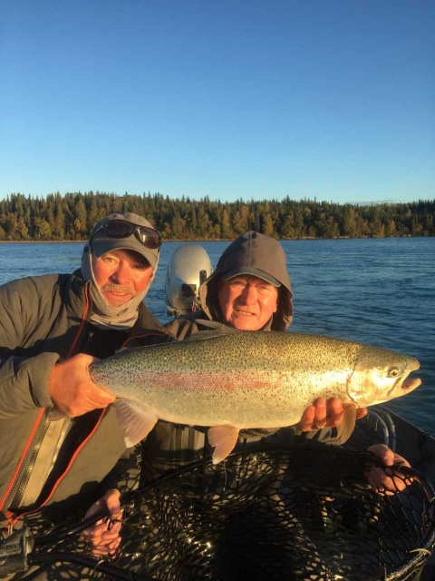 Male Kenai River Rainbow Fall 2018