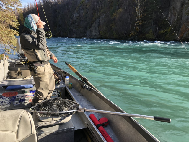 Kenai Canyon Action