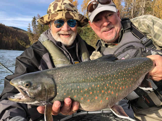 October Dolly Varden Upper Kenai River Alaska