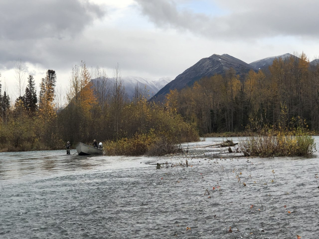 Falling Water on the Upper Kenai River