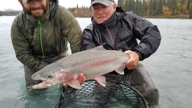 Stacy and Simmons with an October Kenai River Rainbow.