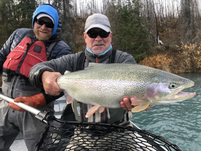 Middle Kenai River Rainbow Trout