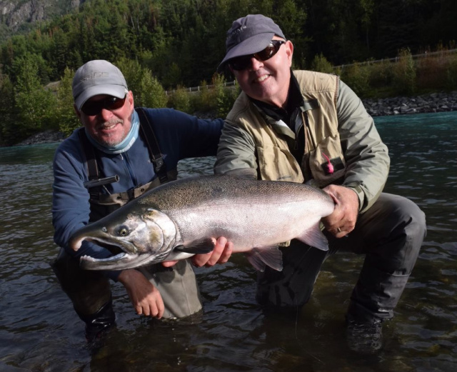 Kenai River Silver Salmon