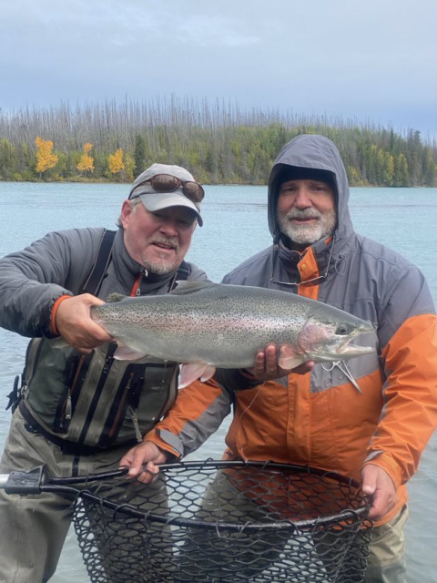 Kenai River Rainbow Trout