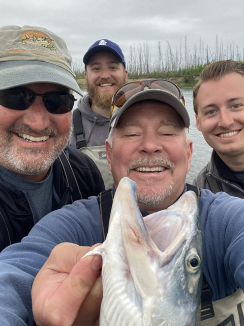 Sockeye Salmon Run Kenai River